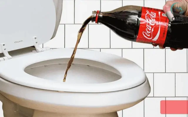 Các cách thông bồn cầu bị nghẹt trong 5 phút 6 Các cách thông bồn cầu bị nghẹt trong 5 phút